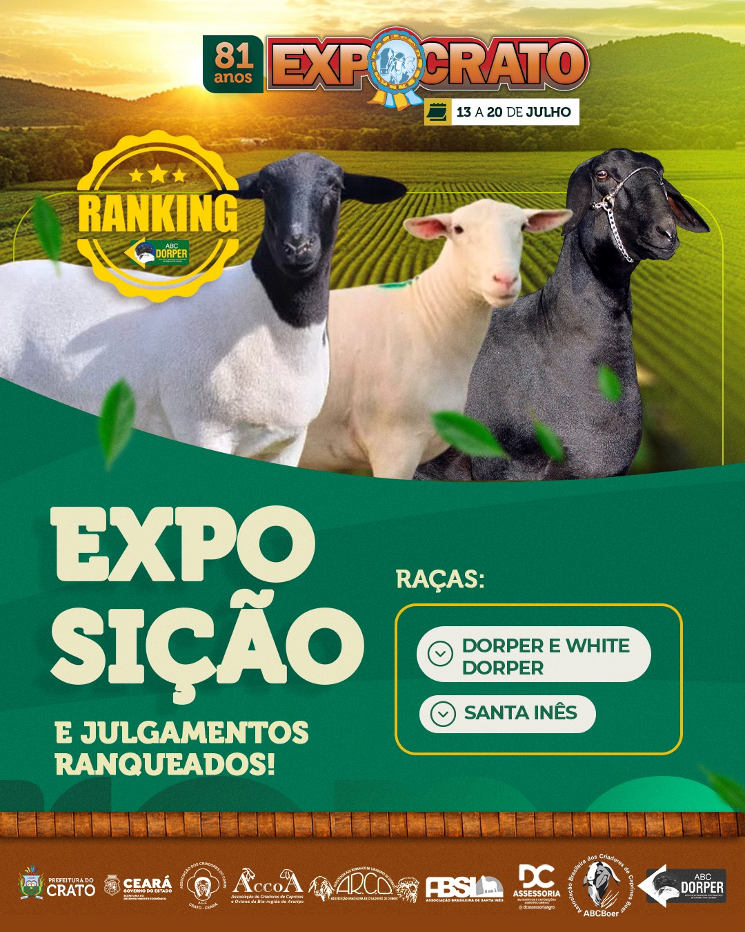 Arco Ovinos